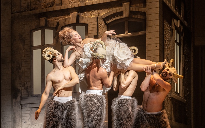 agrippina brno 8