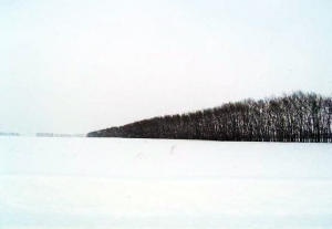 SIBERIA