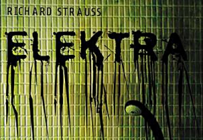 Elektra az Operah&aacute;zban